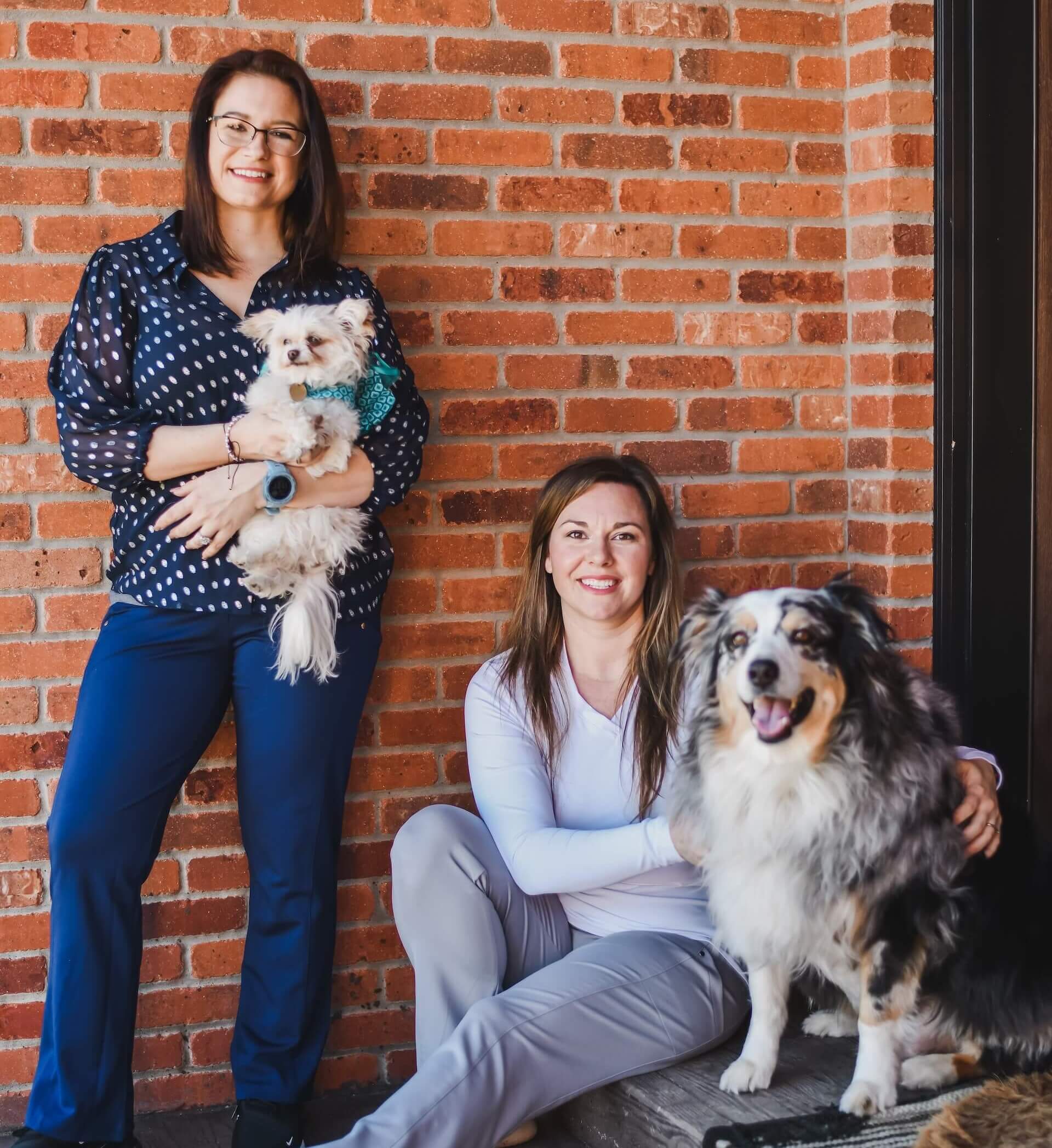 Springfield Veterinary Clinic Welcome