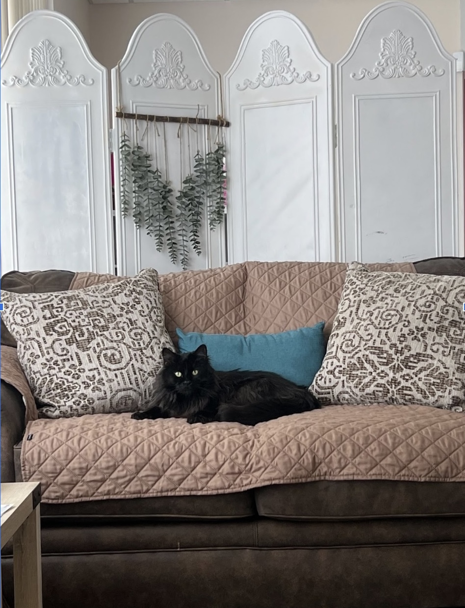 Palliative Care Services