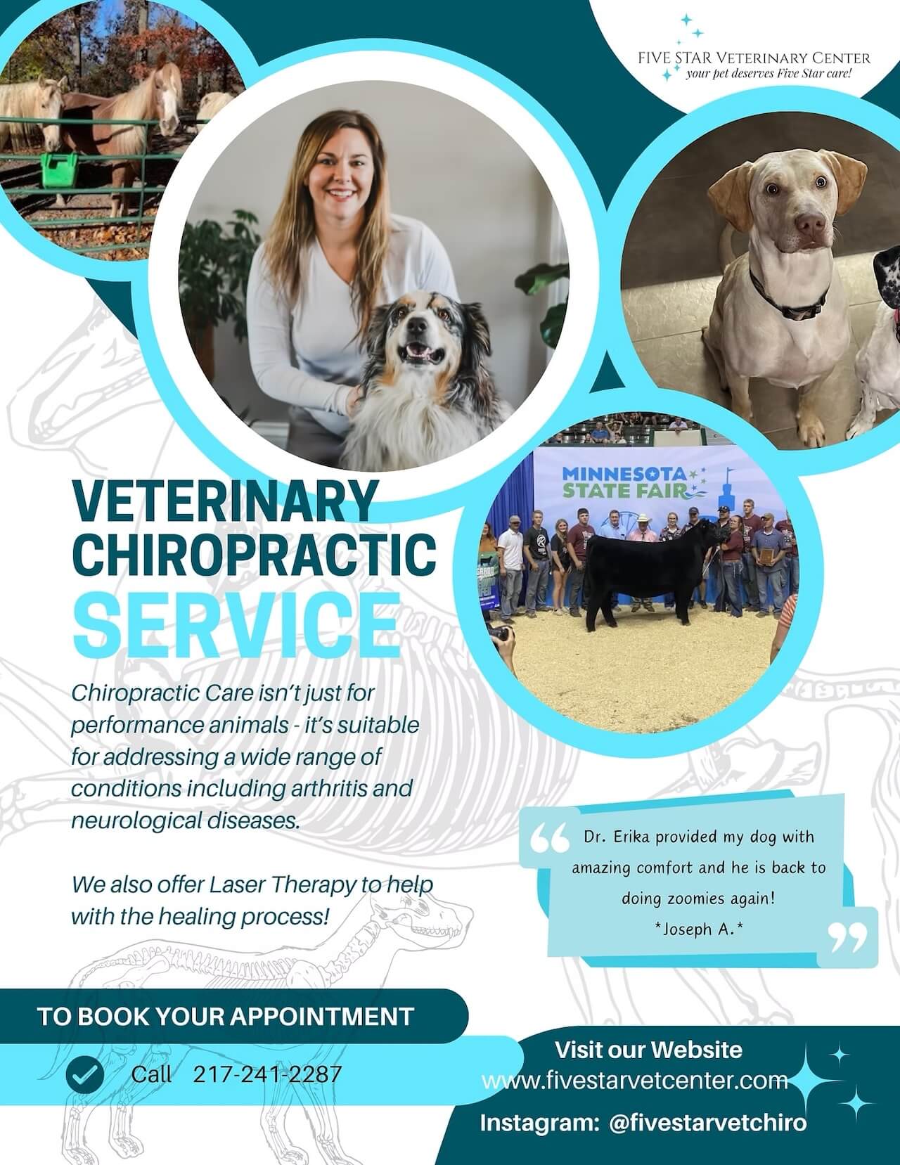 Unlocking Wellness: The Benefits of Pet Chiropractic Services Unlocking Wellness: The Benefits of Pet Chiropractic Services