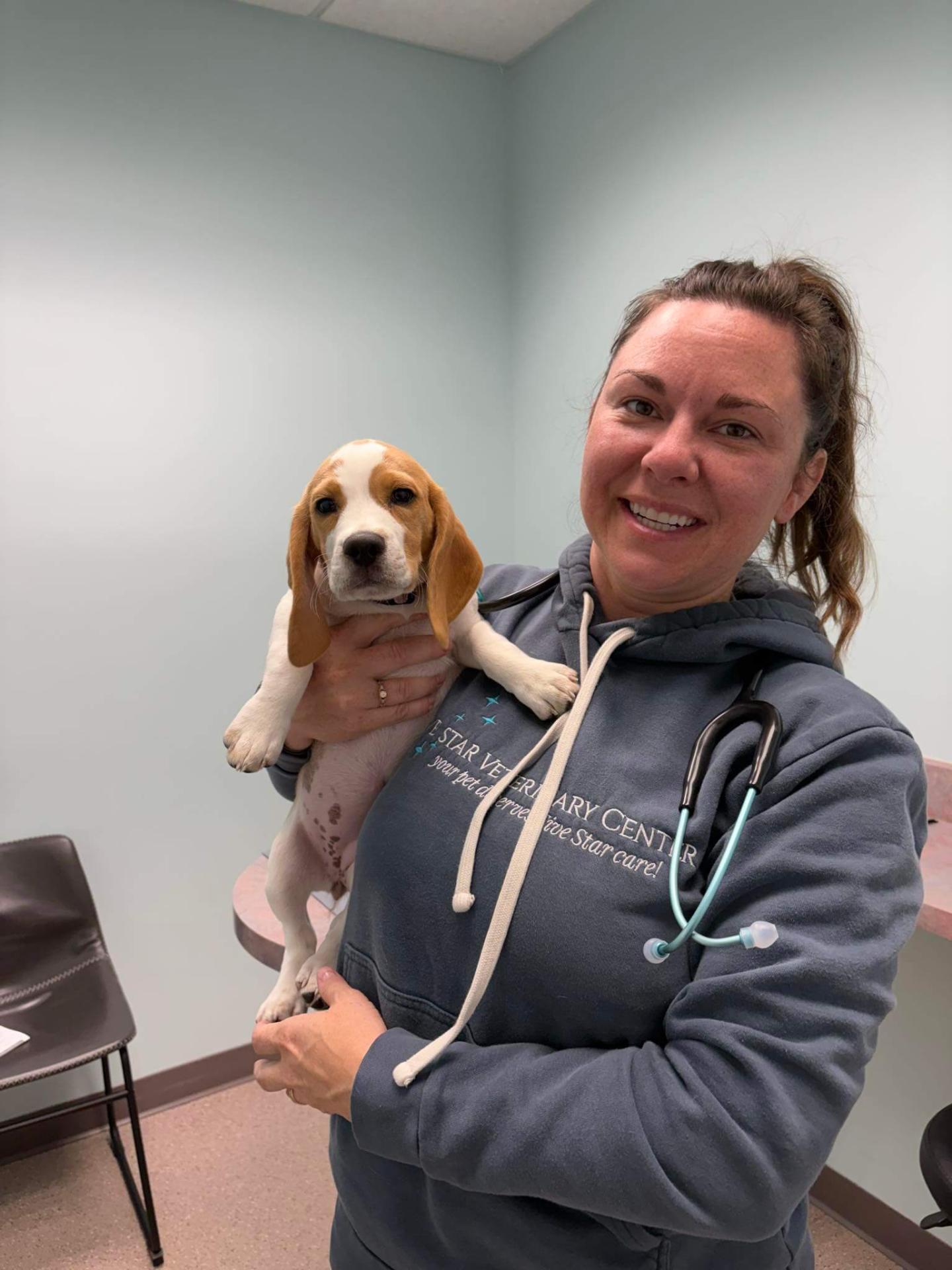 Pet Pain Management in Springfield