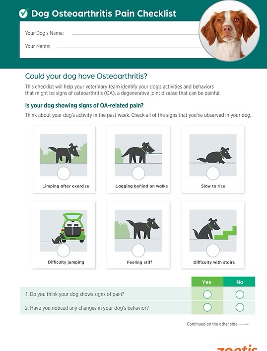 Zoetis Canine OA Checklist