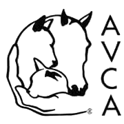 AVCA