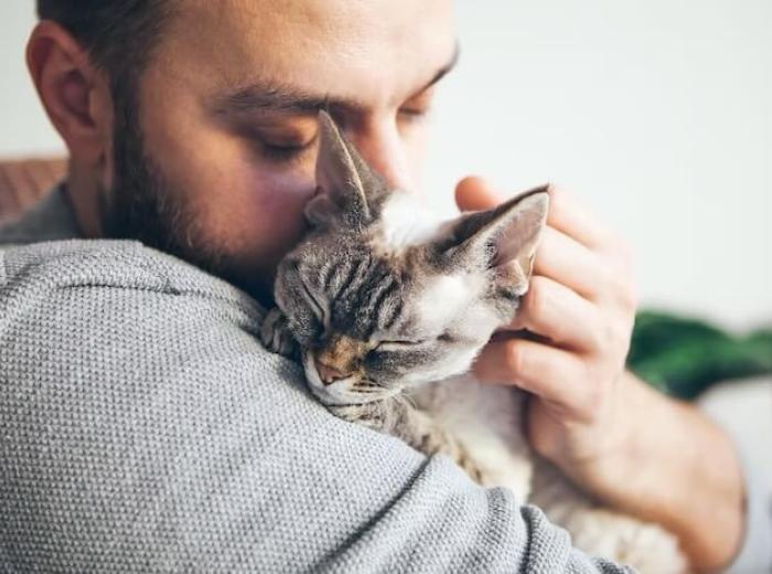 Signs Your Pet Needs Emergency Care: How to Identify a Crisis