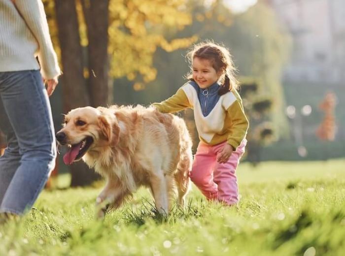 Why Pets Struggle With Back-to-School Season